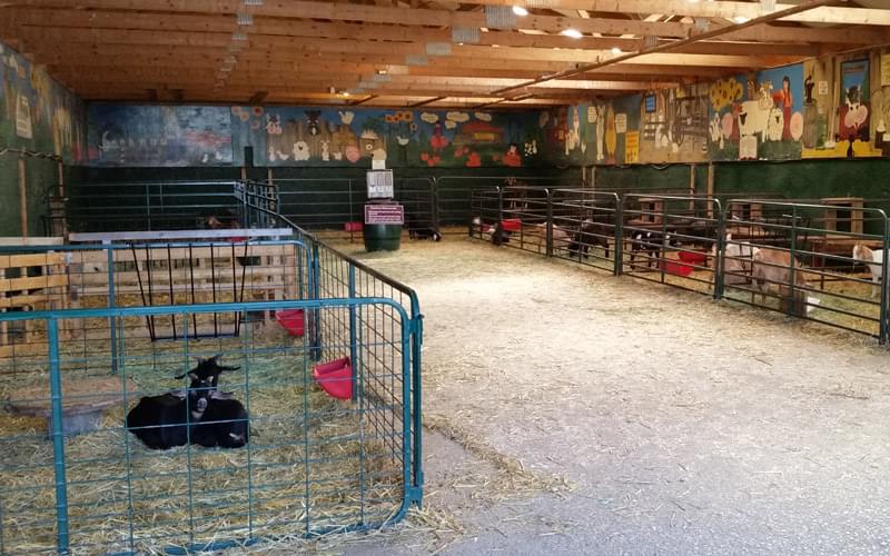 animal barn interior
