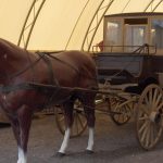 horse and wagon