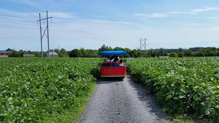 train going through field