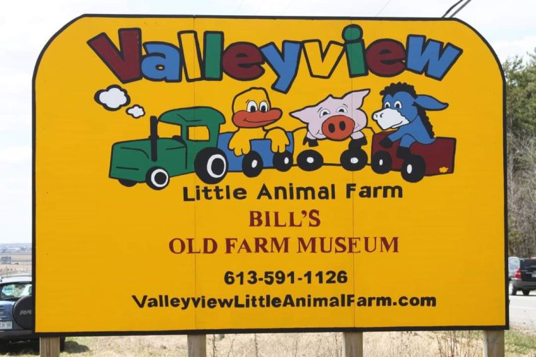Valleyview Little Animal Farm sign