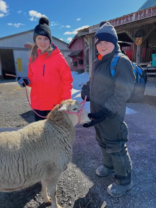 Two children with a sheep